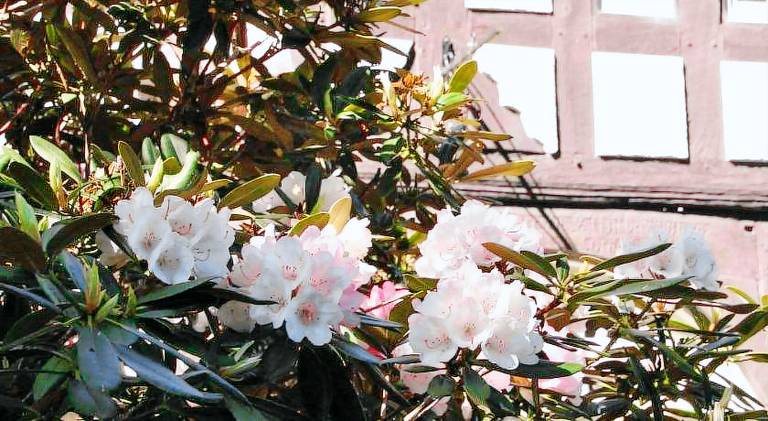 foto14