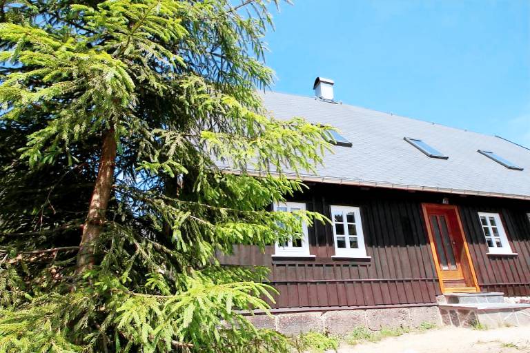 foto1