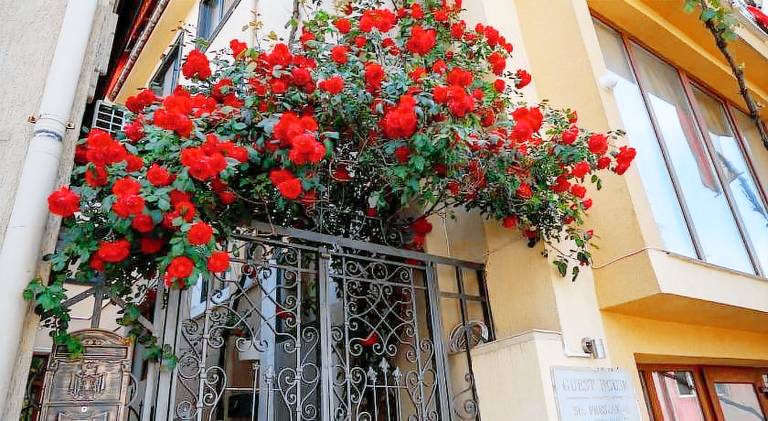 Nice apartment | Dogs allowed — photo 4