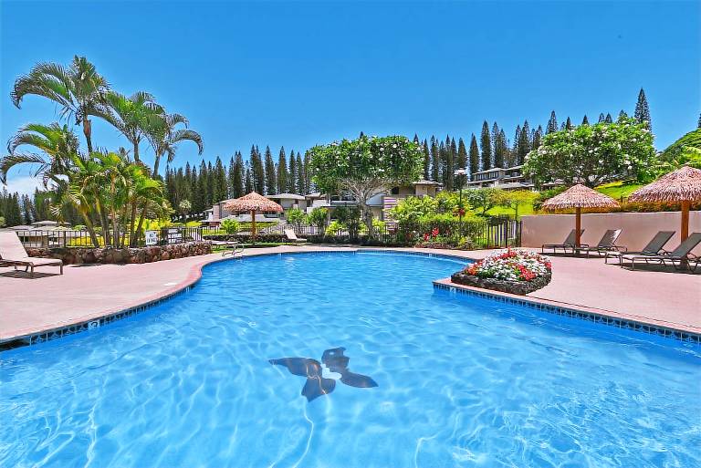 Condo  Kapalua