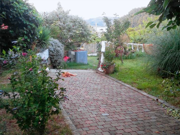 Holiday apartment with patio | Dogs allowed — photo 2