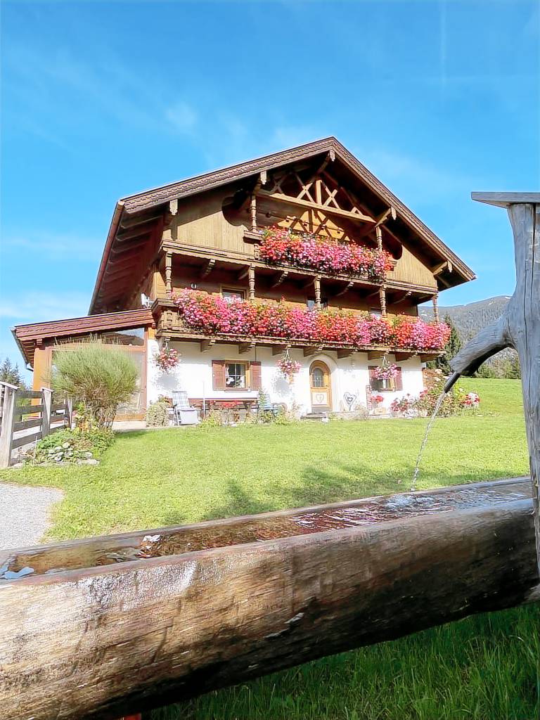 foto4