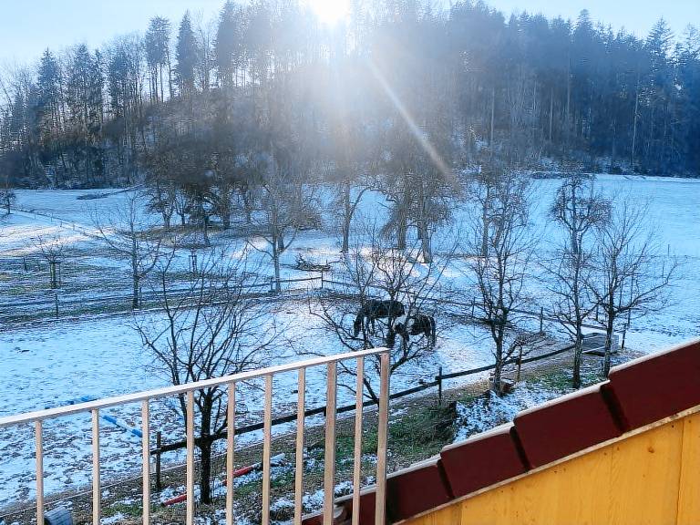 Ferienwohnung Konstanz