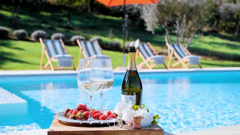 Villa with private pool, garden & BBQ | Pool view — photo 5