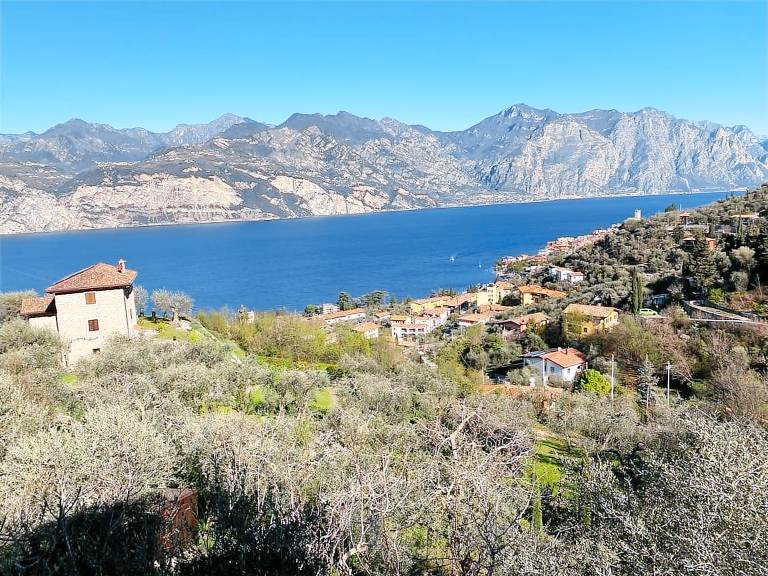 Apartment 'Olive Grove House' with Lake View, Private Terrace and Shared Garden in Malcesine