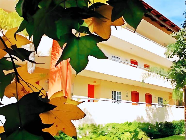 Aurea Hotel and Suites in Zapopan