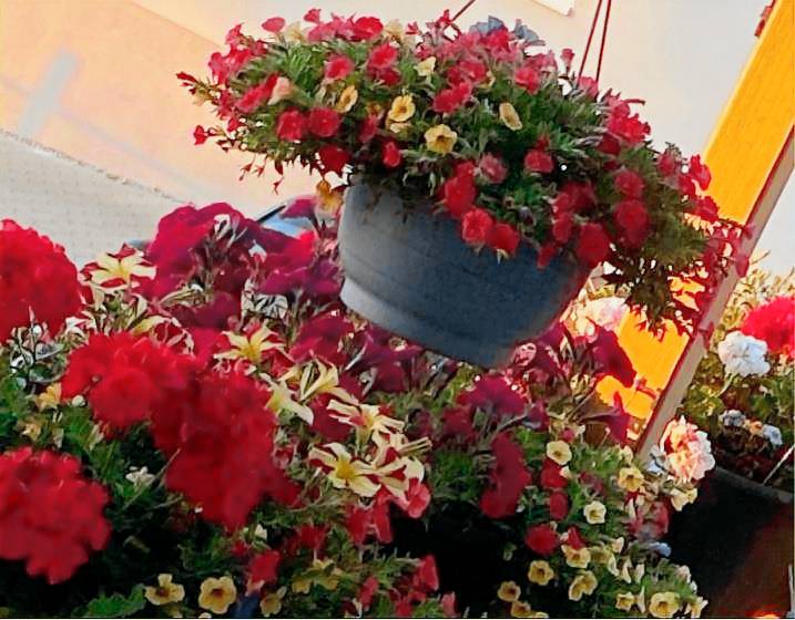 foto4