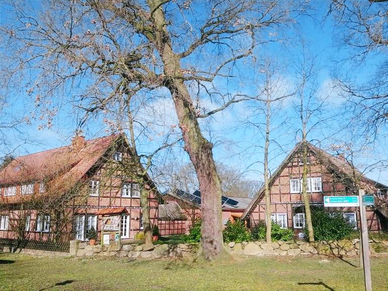 Reit- und Bauernhof Klaucke (Trebel - Marleben) — photo 5