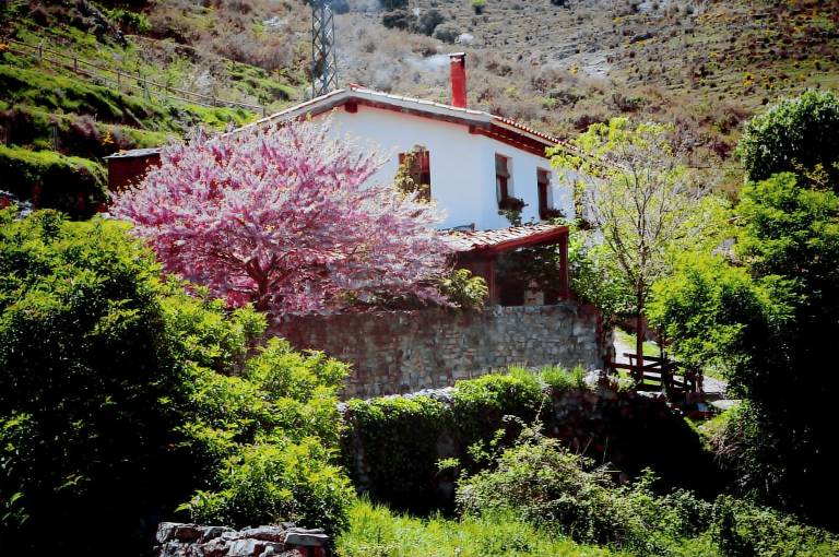 Casa  Munilla