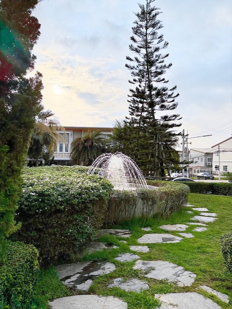 foto4