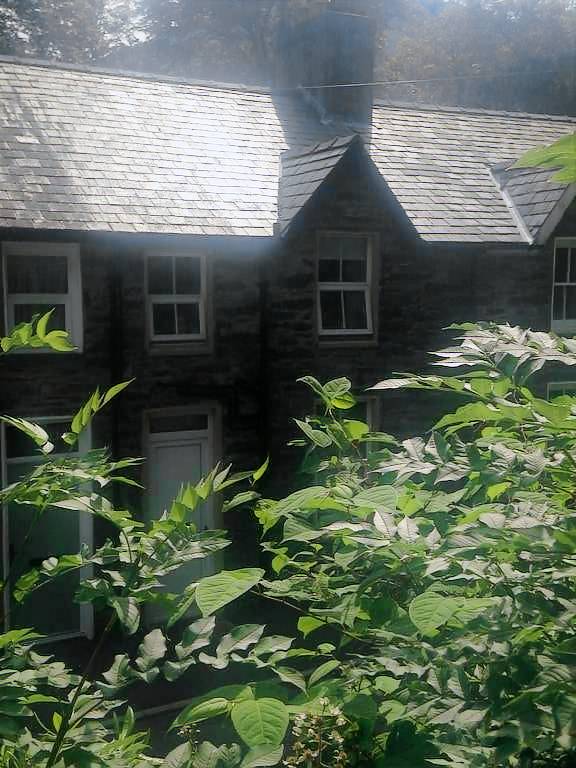 Cottage Beddgelert