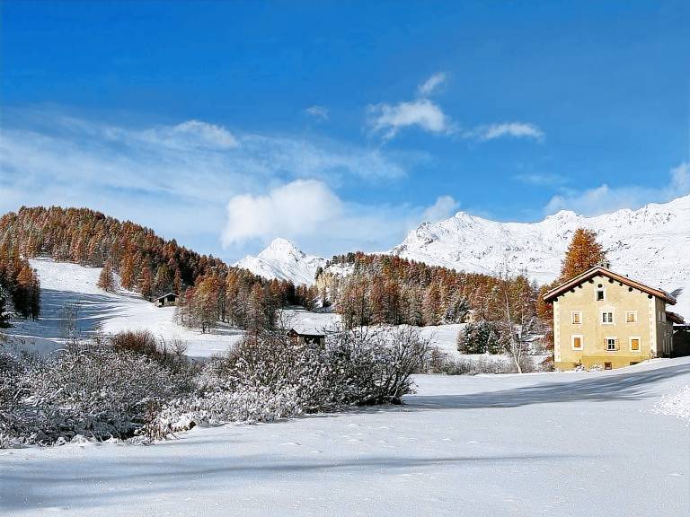 Ferienhaus Sils im Engadin