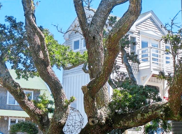 Cabin  Ocracoke