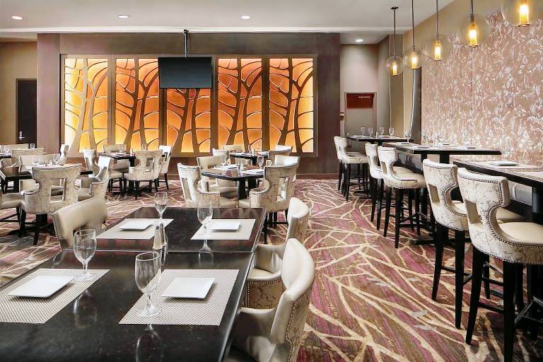 Embassy Suites by Hilton Crystal City National Airport — photo 3