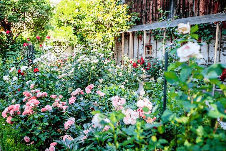 Apartment with barbecue & garden | Garden view — photo 3