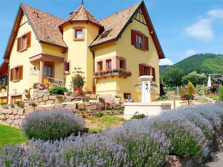 Guest Room “La Châtelaine - Pinot Blanc” with Mountain View, Shared Terrace & Wi-Fi in Strasbourg