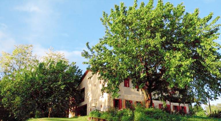 Farm with terrace, garden & barbeque in San Pietro di Feletto