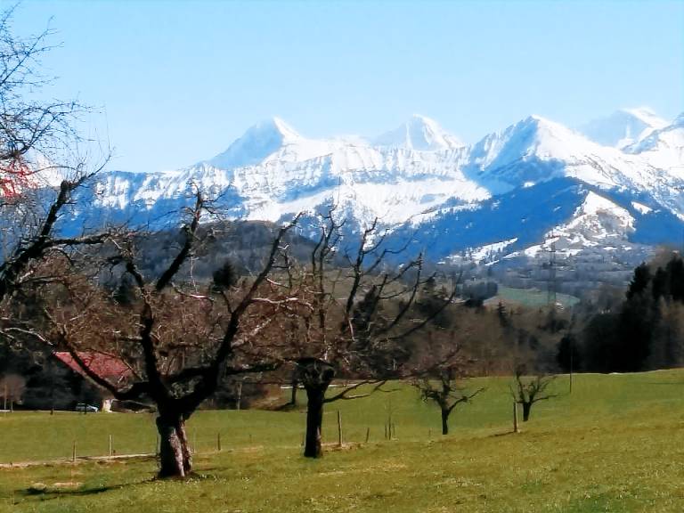 Longère Reutigen