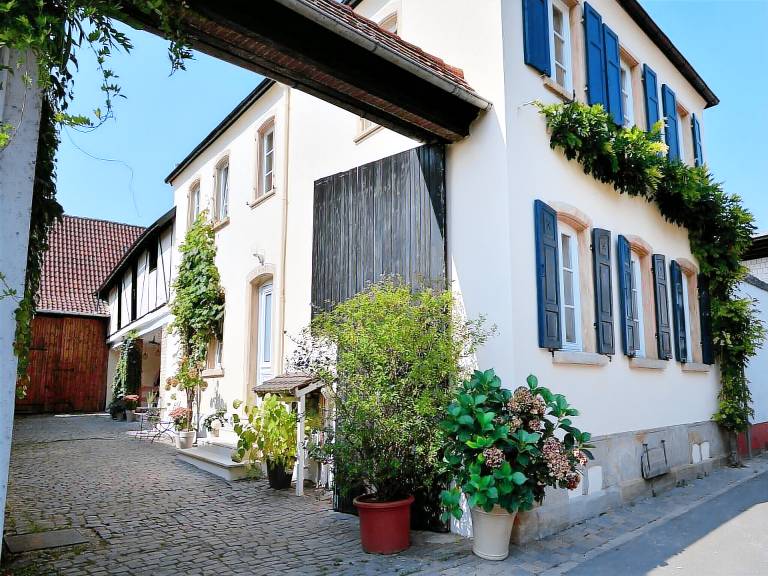 Apartment  Freinsheim