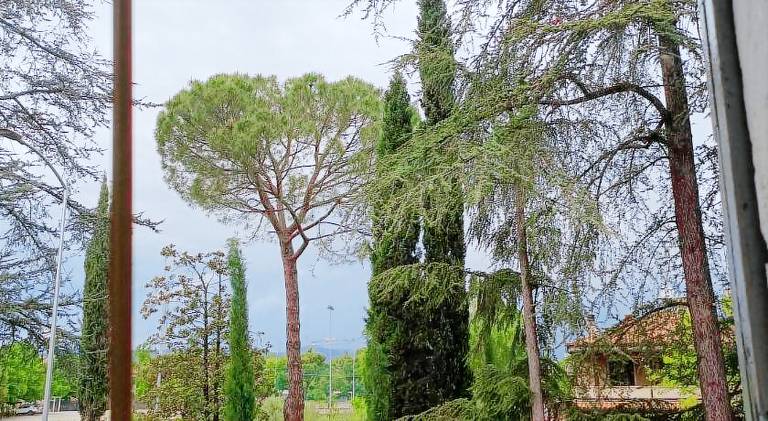 Beautiful vacation home | Pets are welcome — photo 5