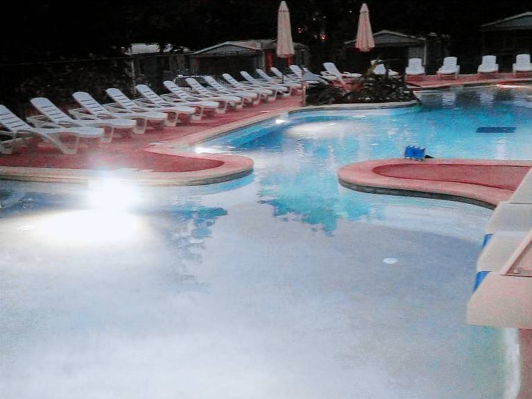 Mobile home with pool | Pet-friendly — photo 3
