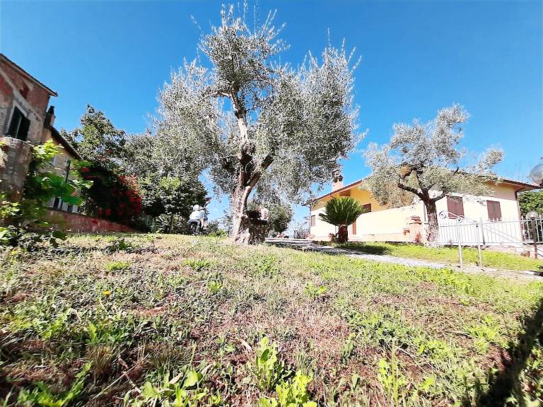 Villa Poggio catino