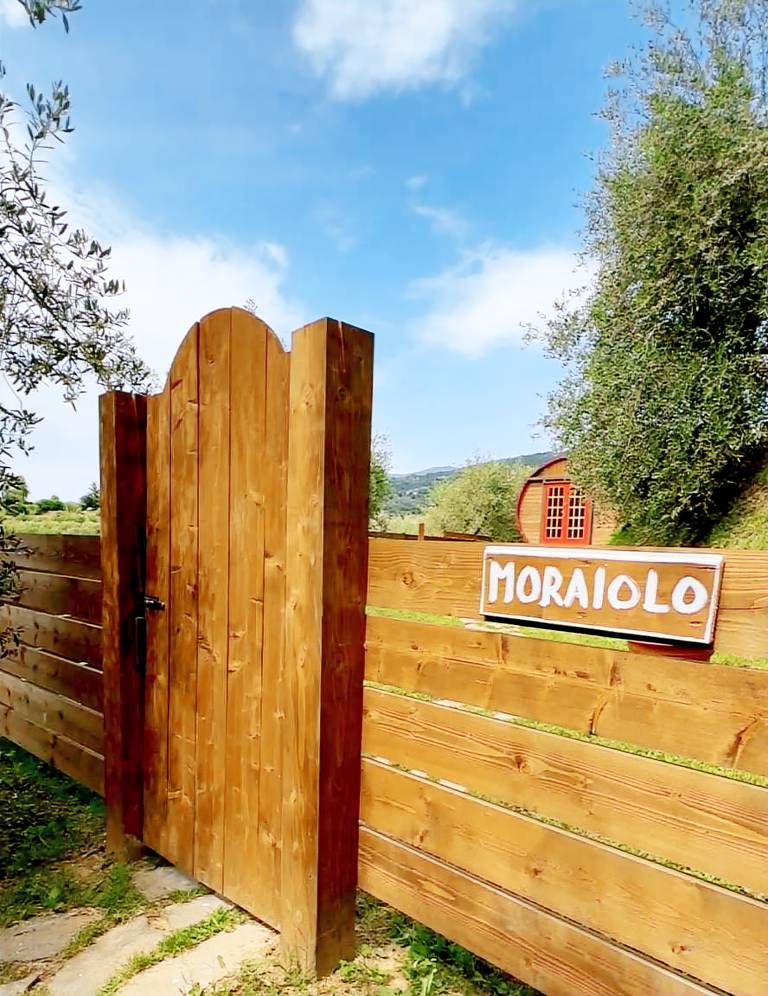 Le Botti Fiorentine: Botte Moraiolo — photo 5