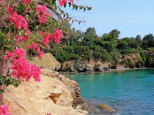 Διαμέρισμα Ligaria