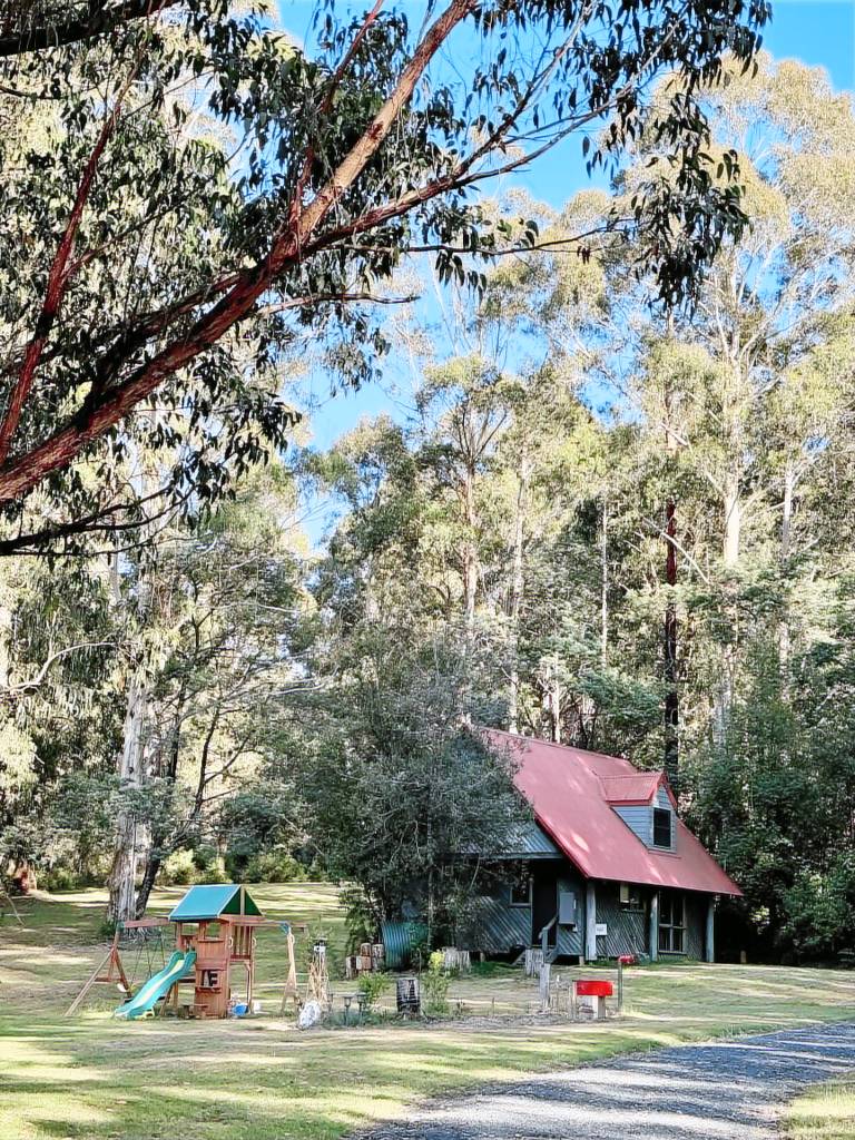 Cabin Noojee