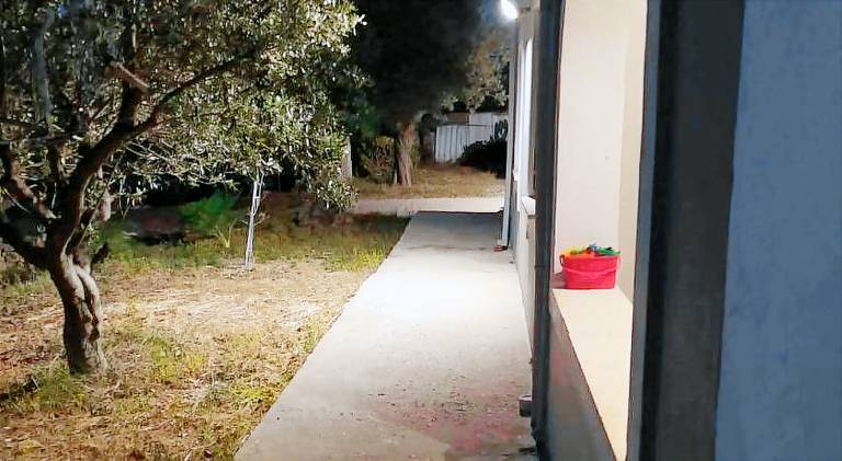 Rental apartment with terrace & yard | Pets are welcome — photo 5