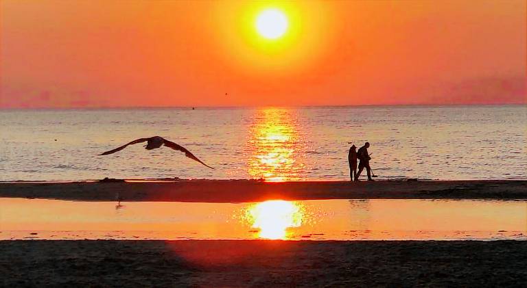 Apartment | Close to the beach | Pet-friendly in Noordwijk