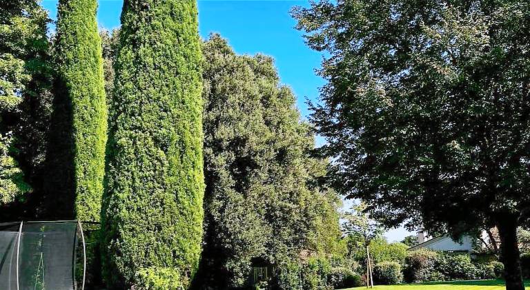 Pleasant holiday apartment | Pets allowed in Asolo