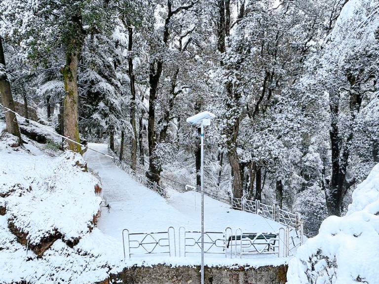 Hotel Jakhu Heights in Shimla