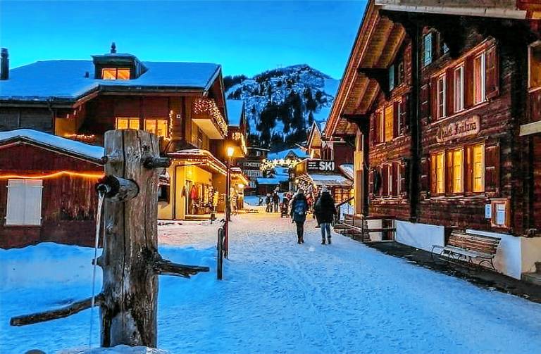 Chalet Wengen