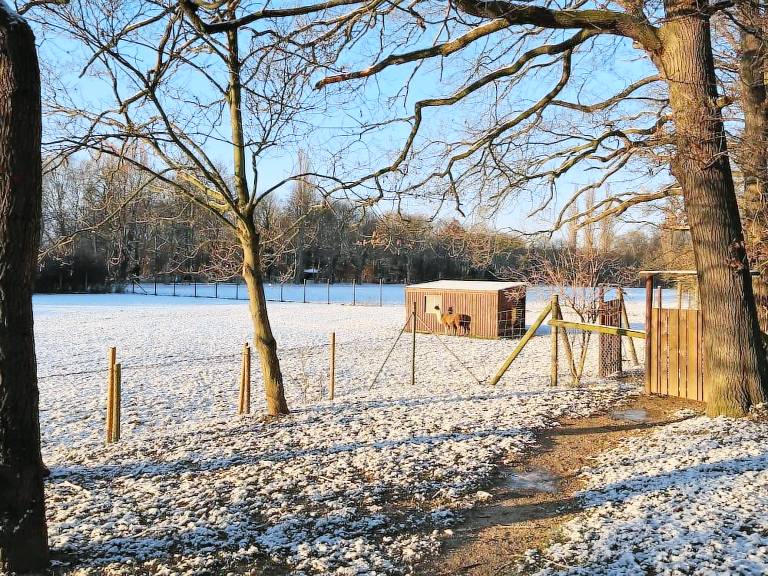 Accommodation  Elsdorf