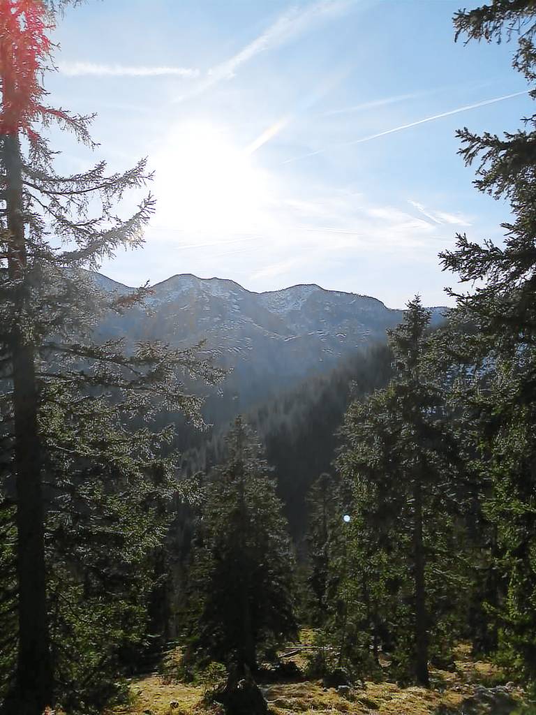 Biobauernhof Hecherhof — photo 4