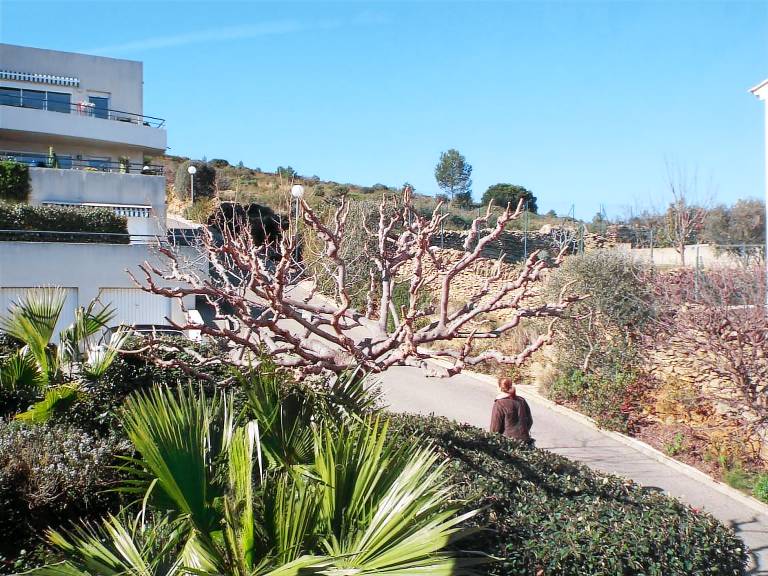 Fully equipped holiday apartment | Beach view | Pets are welcome — photo 4