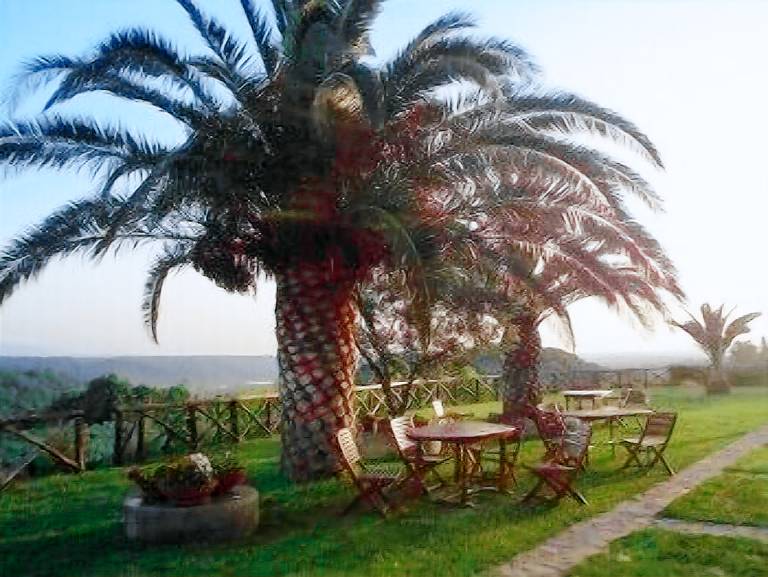 Agriturismo Amato