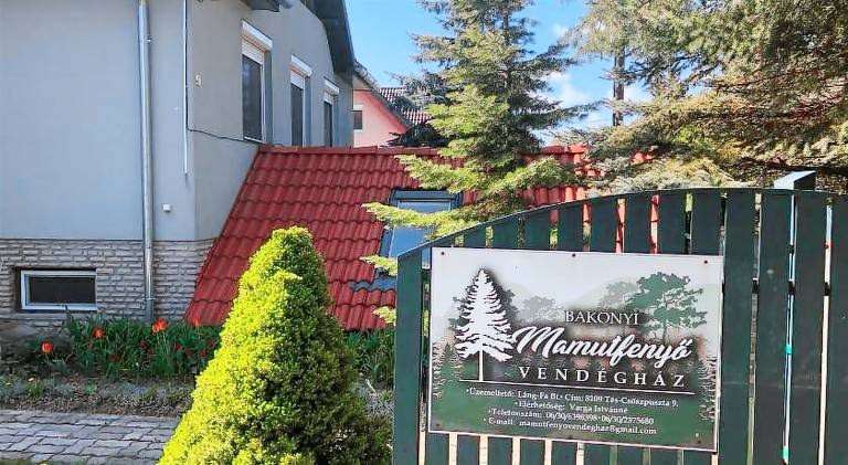 Rental apartment with barbecue, terrace & yard in Veszprem