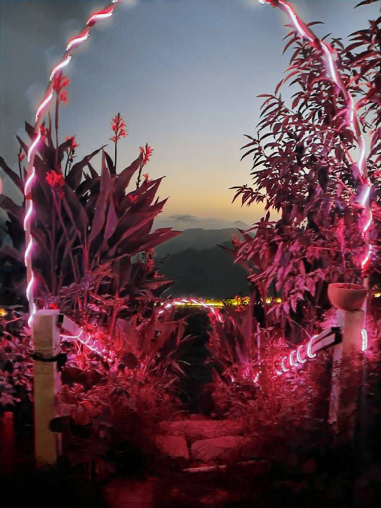 King's Paradise Resort by RIHS Kanatal — photo 4