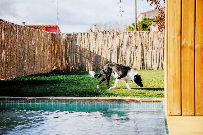 Children-friendly vacation home with yard, BBQ & private pool | Pool view | Pets allowed — photo 2