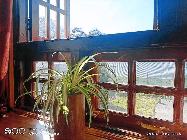 House with yard | Water view — photo 5