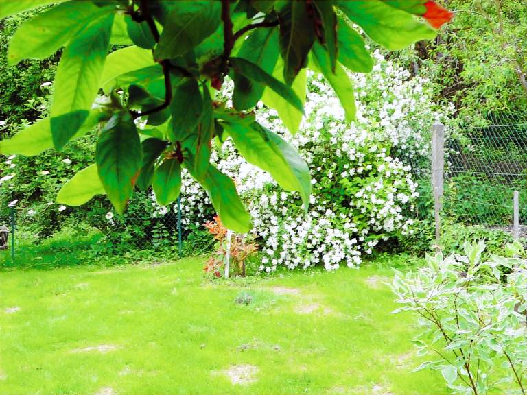 Children-friendly pleasant gite with yard, patio & BBQ | Garden view | Pets are welcome — photo 5