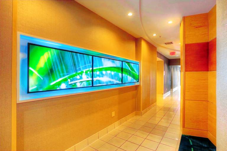 SpringHill Suites by Marriott Tampa Brandon — photo 3