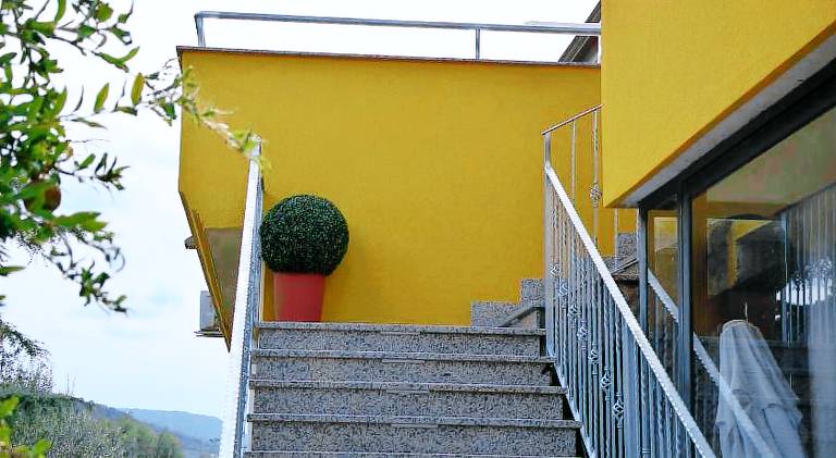 Stella d'Oro — photo 5