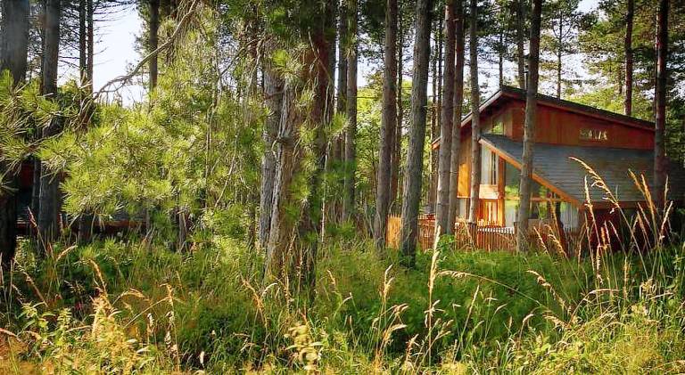 Thorpe Forest Cabins - Forest Holidays in Leeds, AL