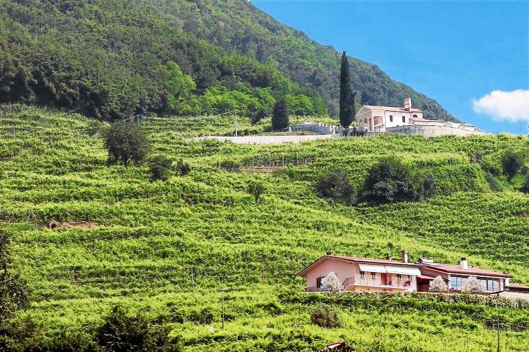 Agriturismo  Valdobbiadene