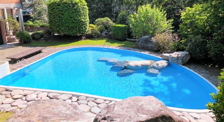 Apartment with pool in Ascona