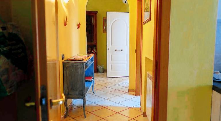 Nice holiday apartment | Dogs allowed — photo 4