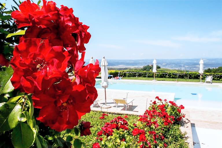 Agriturismo Poggio del Bolognino: Appartamento Trifoglio — photo 3